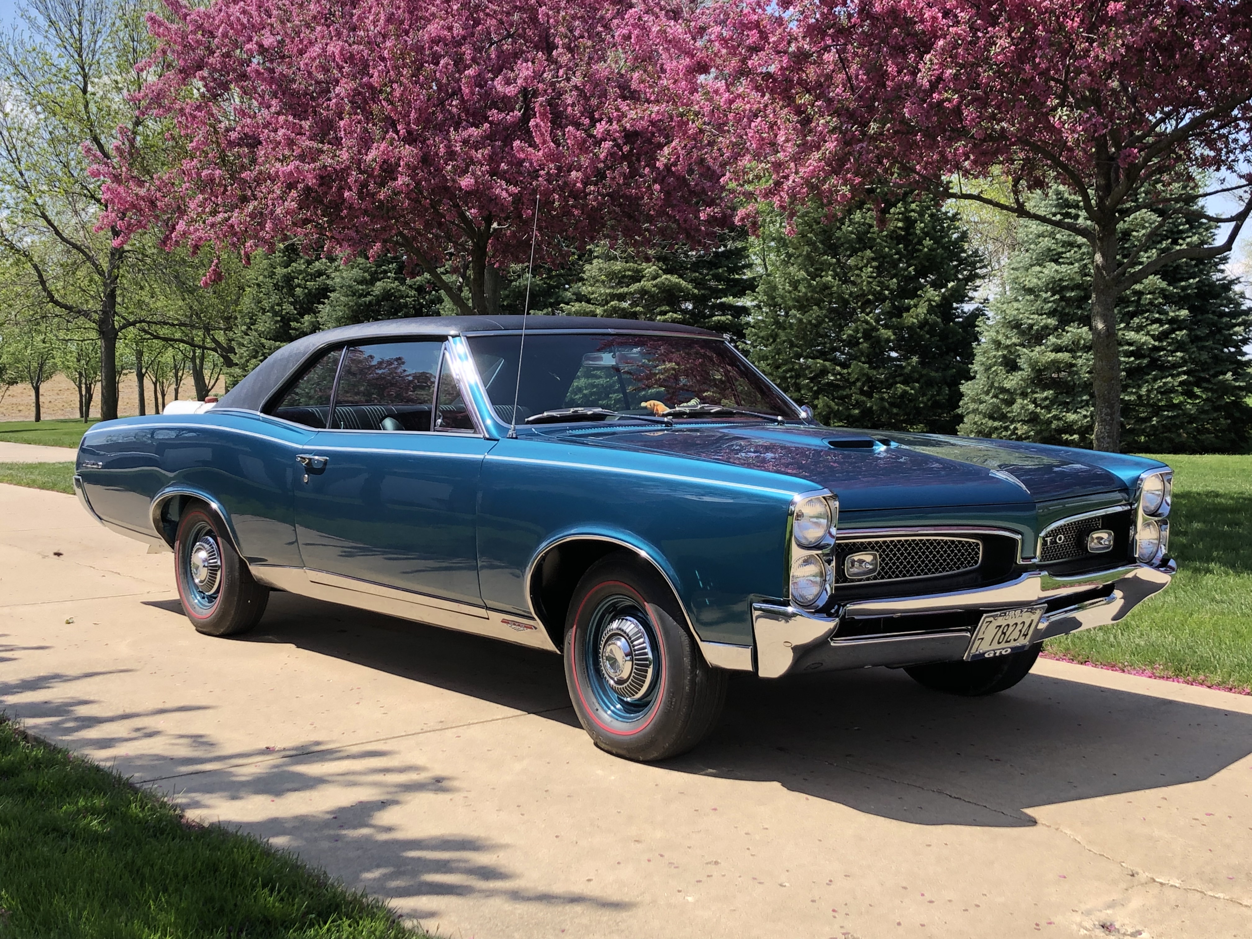 1967 Pontiac GTO